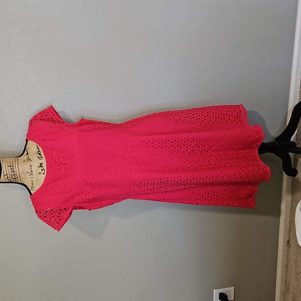 J CREW Pink Dress